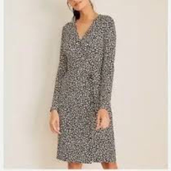 Ann Taylor Cheetah Print Wrap Dress Sz 6P - Picture 1 of 5